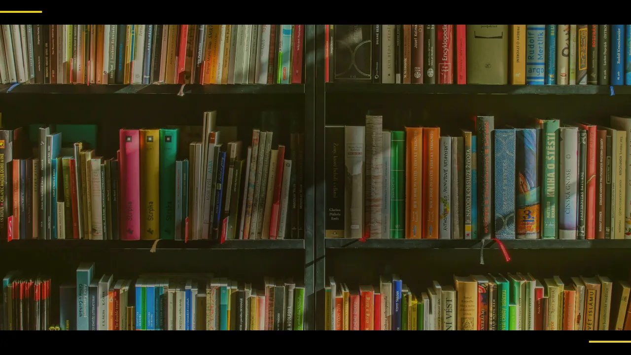 livros de educação financeira